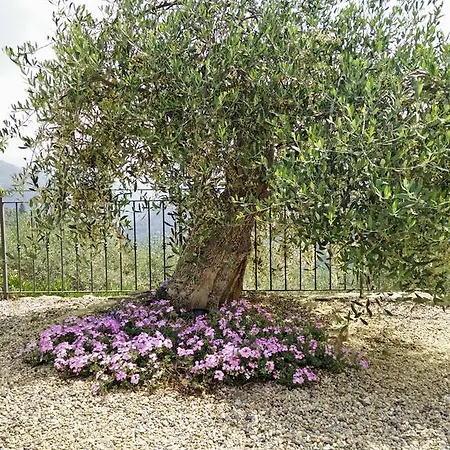 Aqua Dulza Dolceacqua